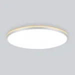 Светильник с подсветкой Citilux NORMA CL748600 LED от ImperiumLoft