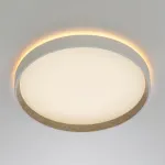 Потолочный светильник с пультом Citilux ETALON CL750320R