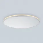 Светильник с подсветкой Citilux NORMA CL748600 LED от ImperiumLoft