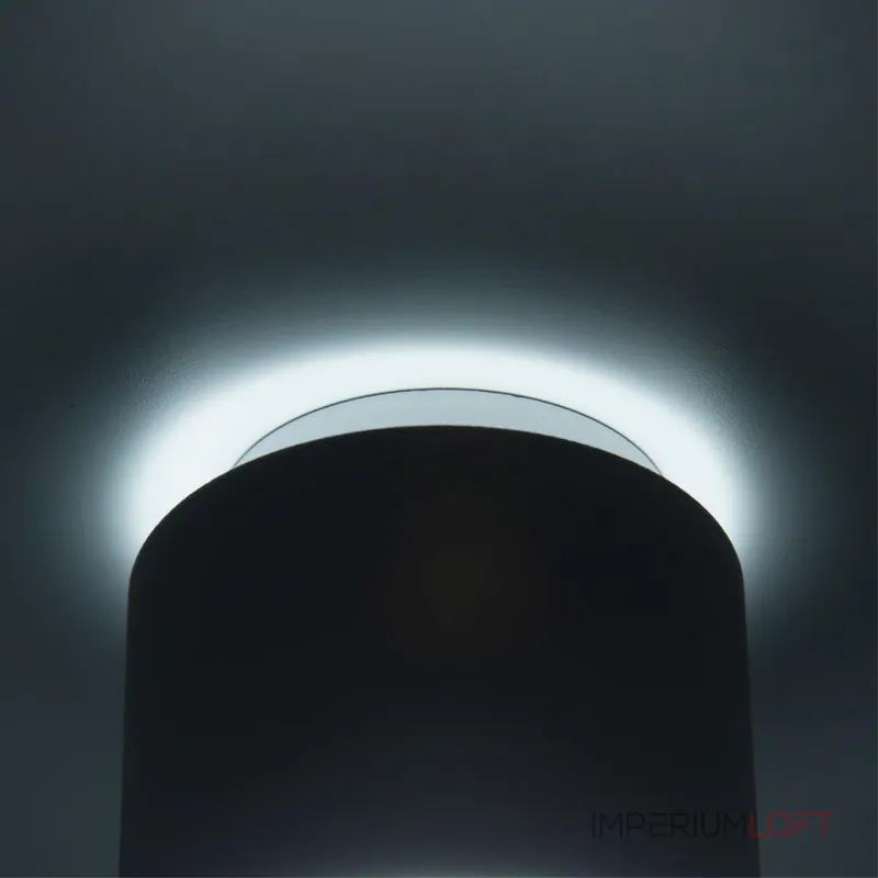 Светильник накладной Citilux Борн CL745010N