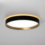 Светильник с подсветкой Citilux ETALON CL750241 LED