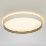 Потолочный светильник с пультом Citilux ETALON CL750320R