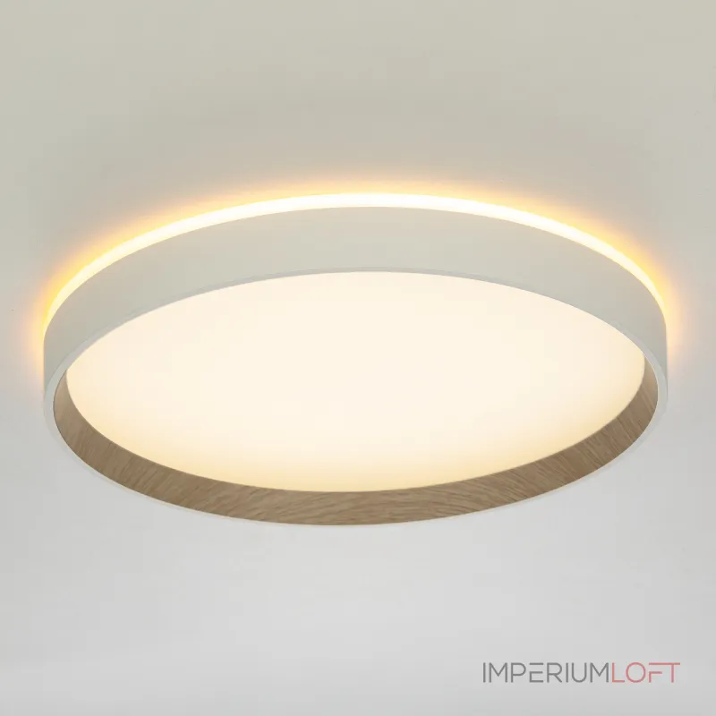 Потолочный светильник с пультом Citilux ETALON CL750320R