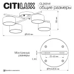 Потолочная люстра Citilux ESPACE CL243141