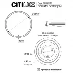 Светильник накладной Citilux Луна CL70224V