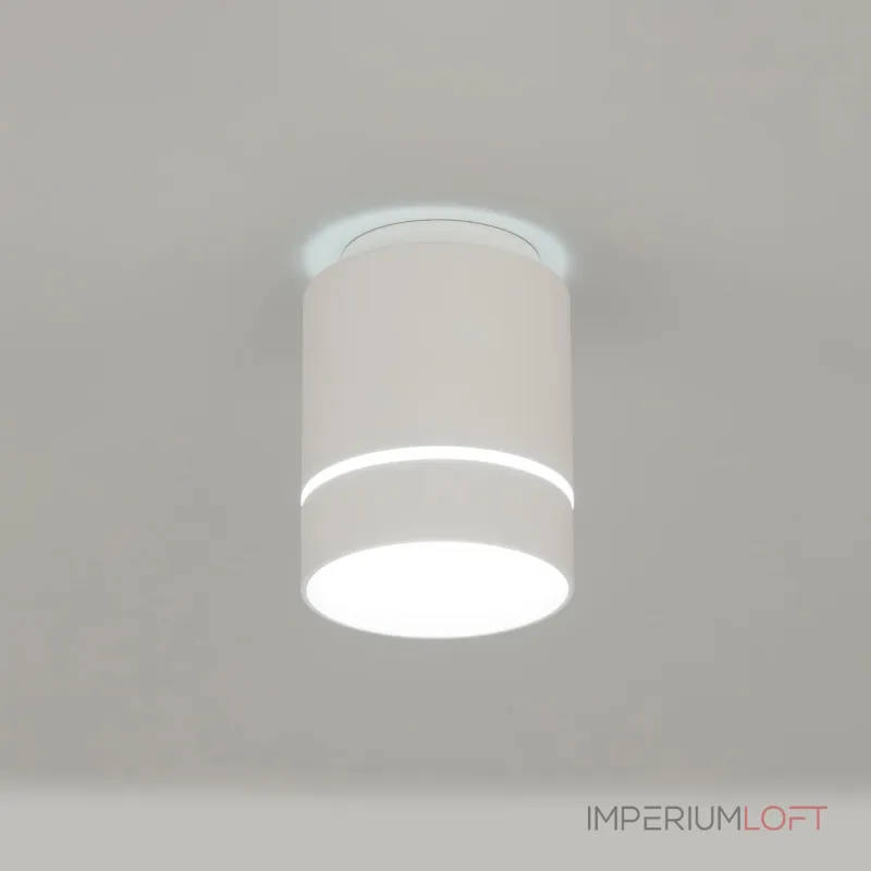 Светильник накладной Citilux Борн CL745010N