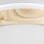 Светильник потолочный Citilux ENZO CL753352G