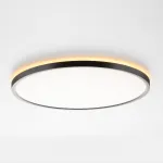 Светильник с пультом Citilux NORMA CL749401 LED RGB