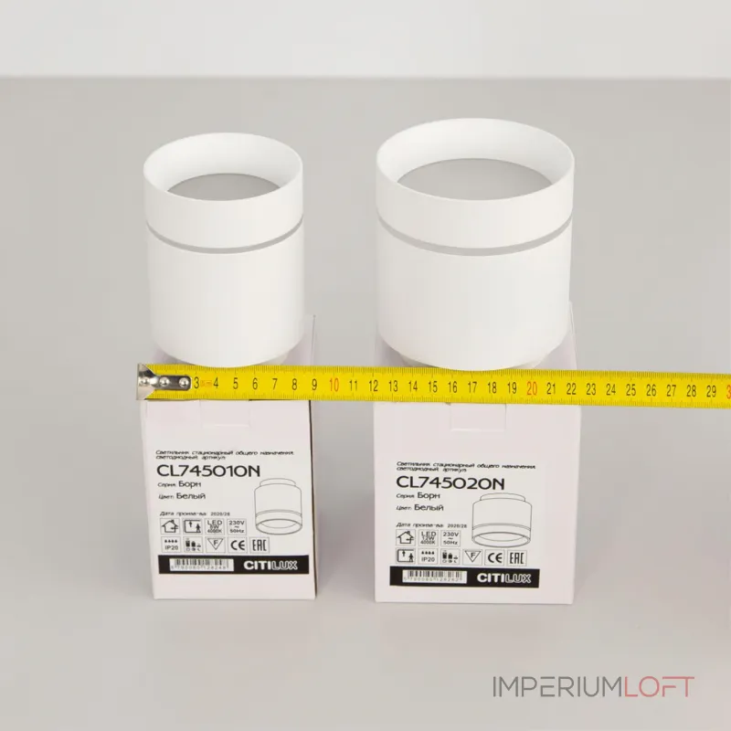 Светильник накладной Citilux Борн CL745010N