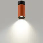 Потолочный светильник Citilux AXEL CL512214