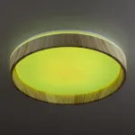 Светильник потолочный Citilux ENZO CL753352G