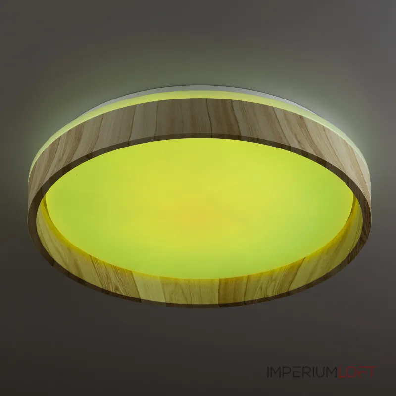 Светильник потолочный Citilux ENZO CL753352G