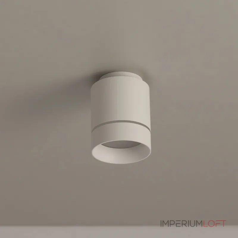Светильник накладной Citilux Борн CL745010N