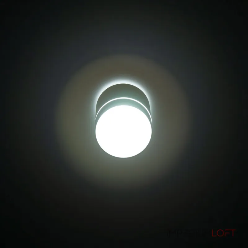 Светильник накладной Citilux Борн CL745010N