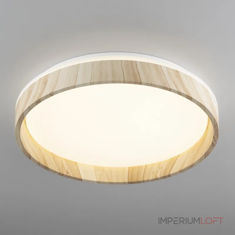 Светильник потолочный Citilux ENZO CL753352G