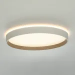Потолочный светильник с пультом Citilux ETALON CL750320R