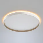 Потолочный светильник с пультом Citilux ETALON CL750500R