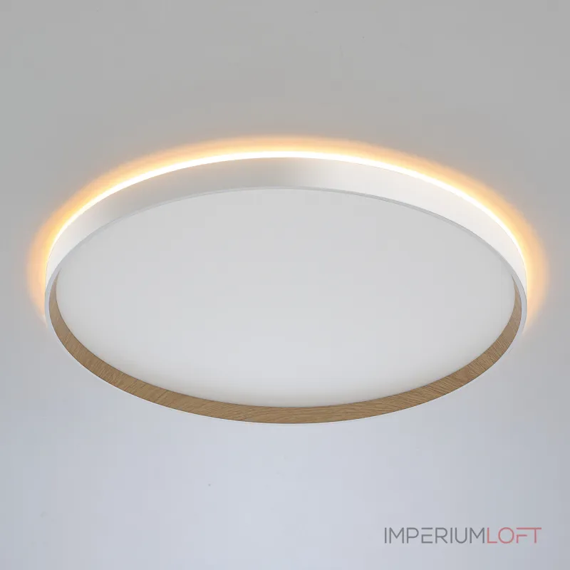 Потолочный светильник с пультом Citilux ETALON CL750500R