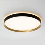 Светильник потолочный Citilux ETALON CL750401R от ImperiumLoft