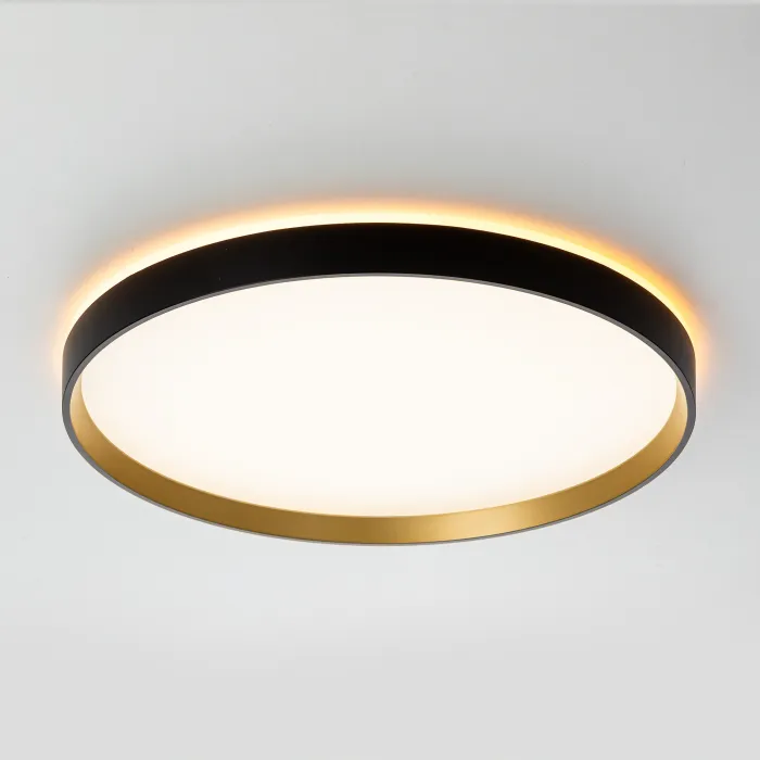 Светильник потолочный Citilux ETALON CL750401R от ImperiumLoft