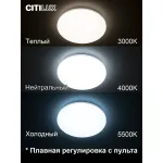 Потолочный светильник с пультом RGB Citilux Симпла CL714480G