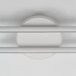 Потолочная люстра Citilux TRENT CL203620