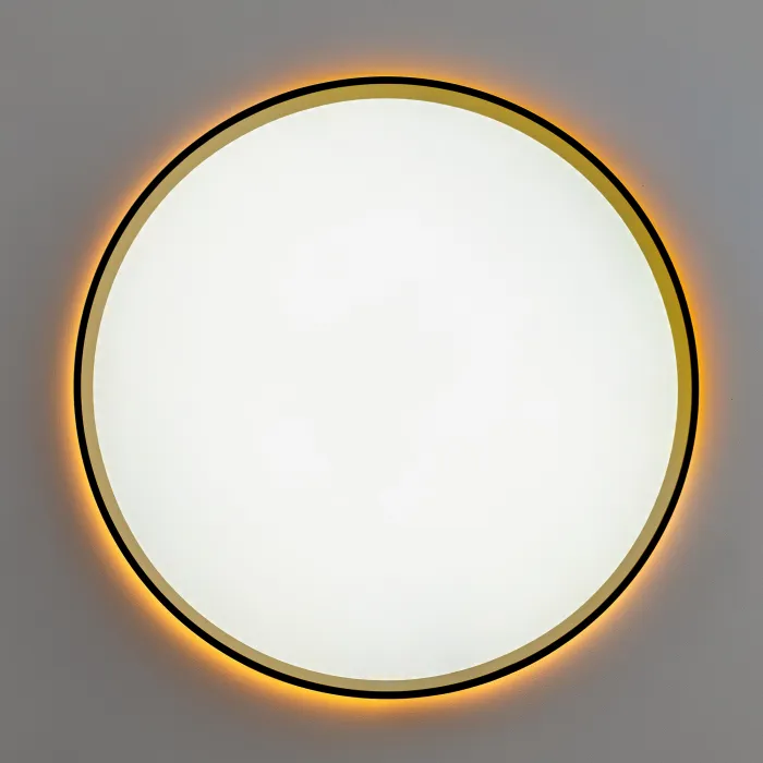 Светильник потолочный Citilux ETALON CL750401R от ImperiumLoft