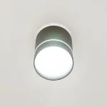 Светильник накладной Citilux Борн CL745011N от ImperiumLoft