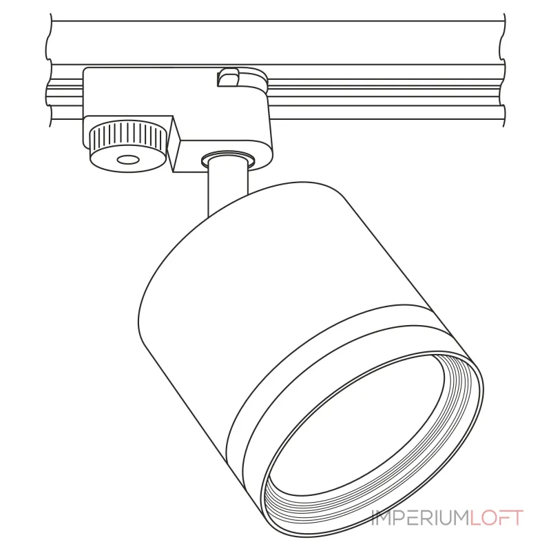 Светильник трековый Citilux Hardy CL002T10