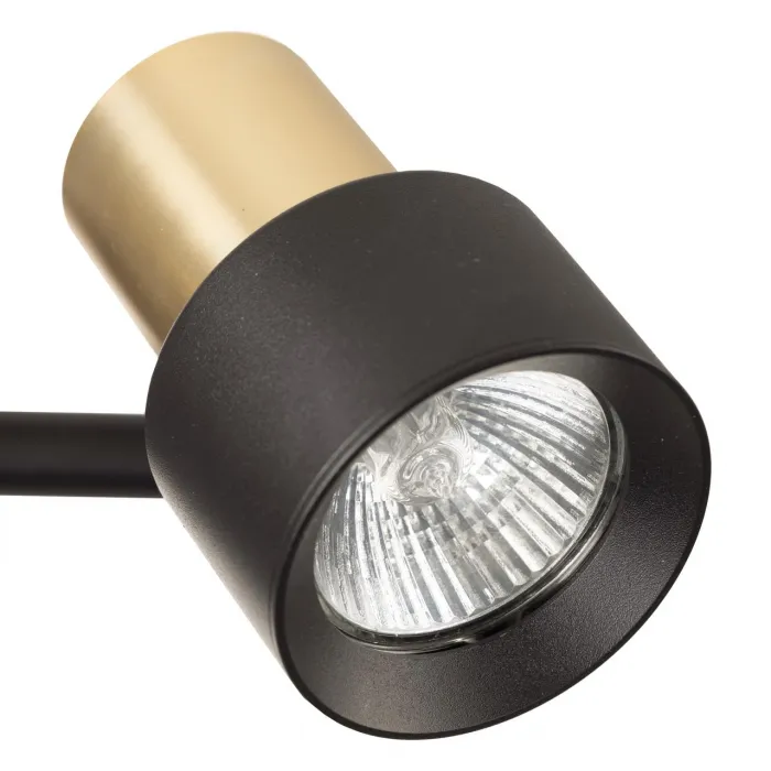 Спот поворотный Citilux SAT CL505621 от ImperiumLoft
