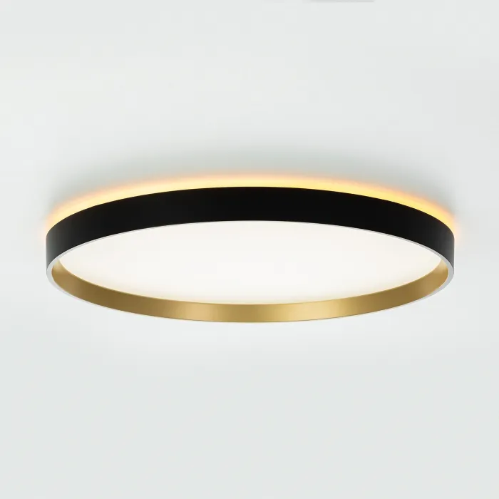 Светильник потолочный Citilux ETALON CL750401R от ImperiumLoft