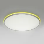 Светильник с пультом Citilux NORMA CL749600 LED RGB