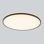 Светильник с подсветкой Citilux NORMA CL748601 LED