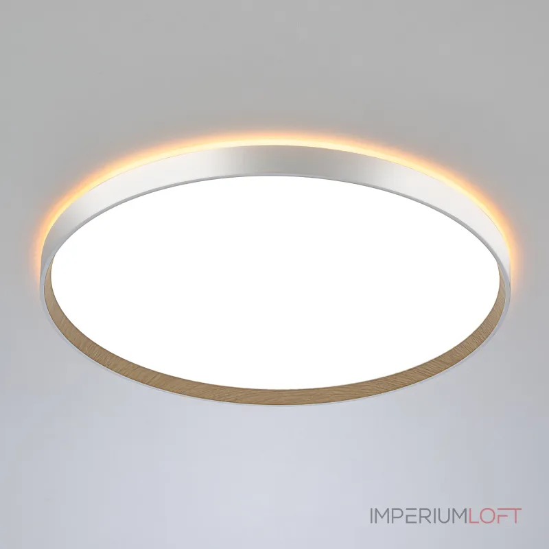 Потолочный светильник с пультом Citilux ETALON CL750500R