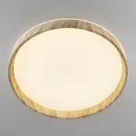 Светильник потолочный Citilux ENZO CL753452G от ImperiumLoft