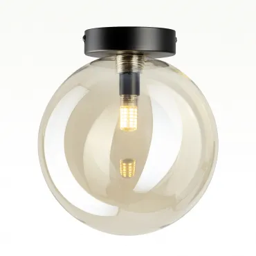 Светильник потолочный Citilux ORTON CL202512