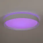 Светильник потолочный Citilux BOSS CL751350G