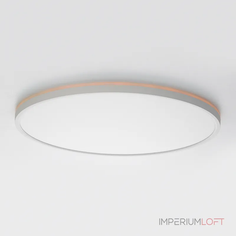 Светильник потолочный Citilux NORMA CL749500