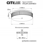 Потолочный светильник Citilux Портал CL32410G1