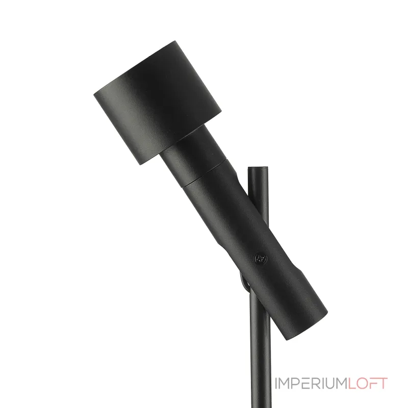 Уличный ландшафтный светильник Citilux SPOTTER CLU11B1