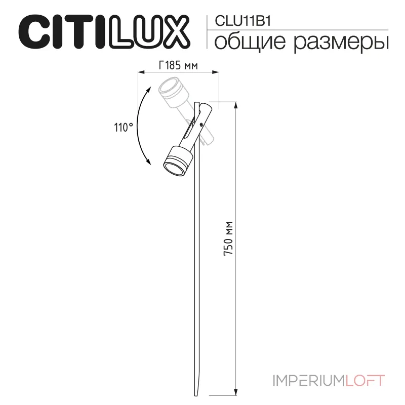 Уличный ландшафтный светильник Citilux SPOTTER CLU11B1
