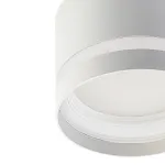 Светильник накладной потолочный Citilux Hardy CL002C10