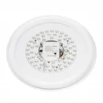 Светильник потолочный Citilux BOSS CL751350G