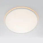 Светильник потолочный Citilux NORMA CL749500 от ImperiumLoft