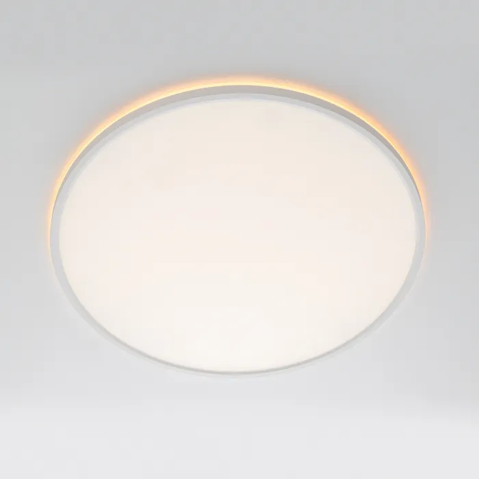 Светильник потолочный Citilux NORMA CL749500 от ImperiumLoft
