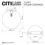 Светильник Citilux ORTON CL202512