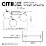 Люстра поворотная Citilux DORSY CL223132 LED от ImperiumLoft