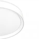 Светильник потолочный Citilux BOSS CL751350G
