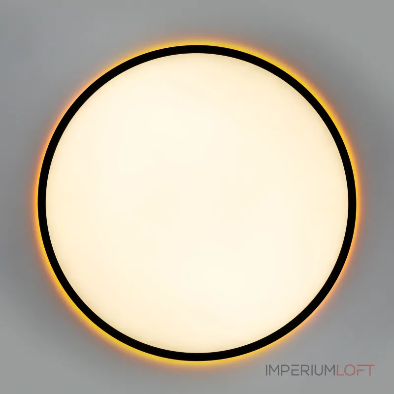 Светильник потолочный Citilux NORMA CL749501