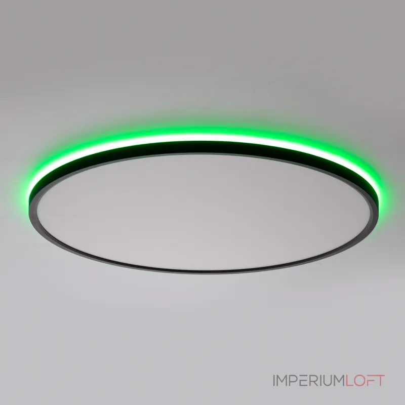 Светильник потолочный Citilux NORMA CL749501